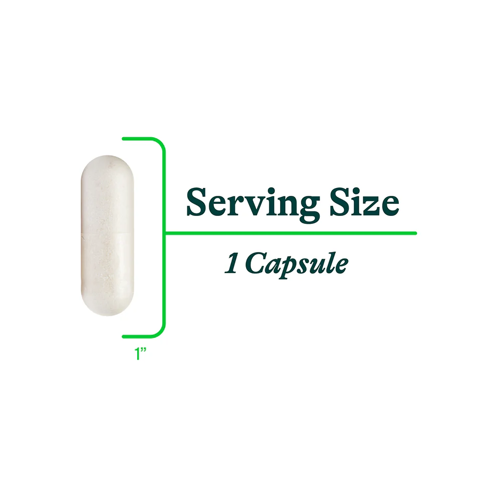 DAO Enzyme (Formerly Histamine Digest) | 90 Capsules | Seeking Health - Image 5