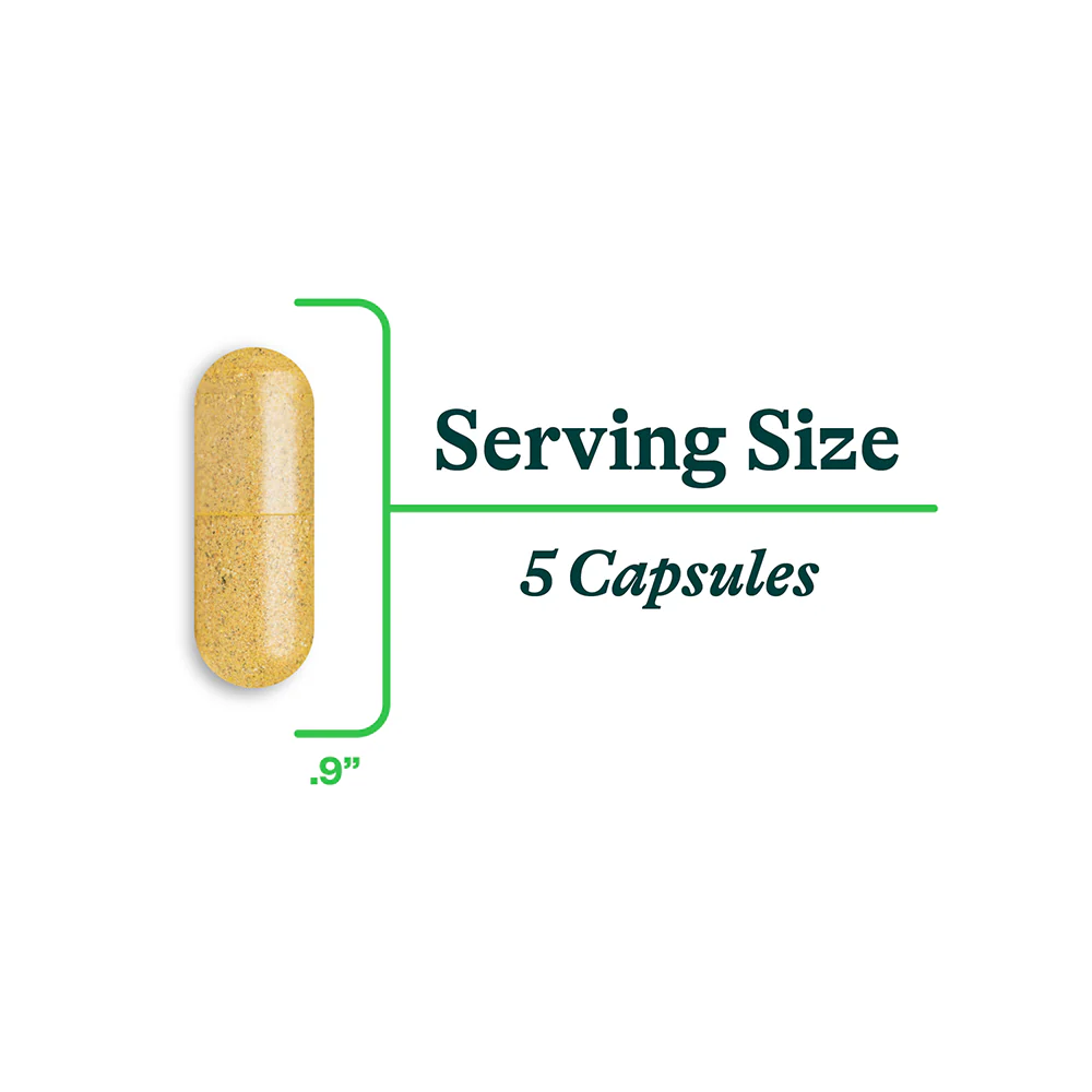 Gut Nutrients | 150 Capsules | Seeking Health - Image 6
