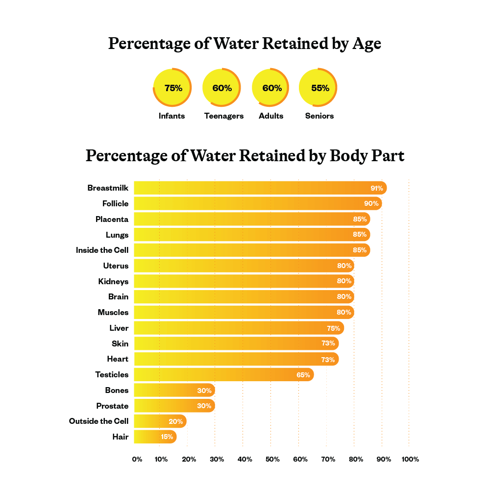 Optimal Electrolyte | Lemonade | 190.8g |  Seeking Health - Image 6