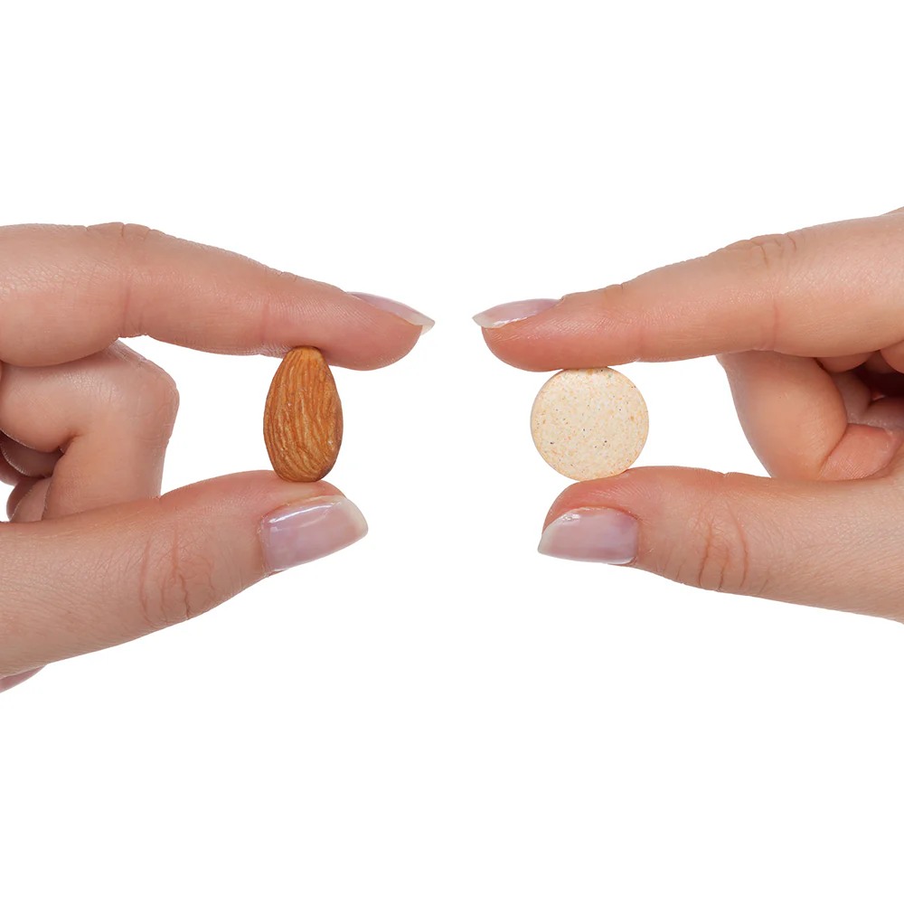 Prenatal Essentials Chewable | 60 Tablets - Image 4