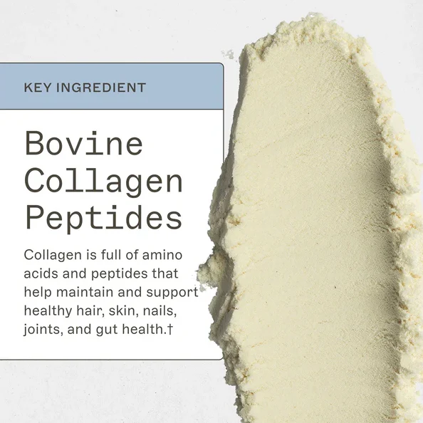 Amy Myers Paleo Protein | Vanilla Bean | 20 Servings - Image 6