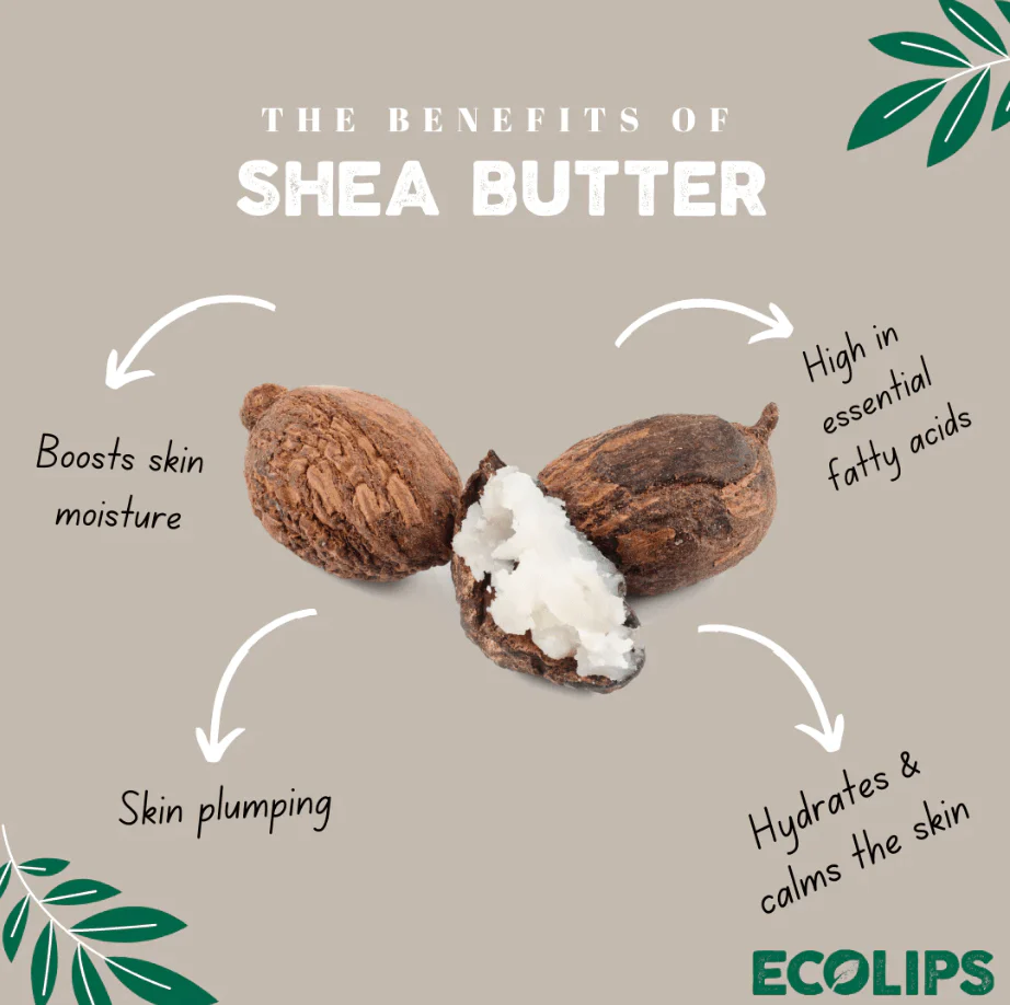 Freshly Squeezed Plant Pod Lip Balm - Jam Packed (Strawberry) - Image 4