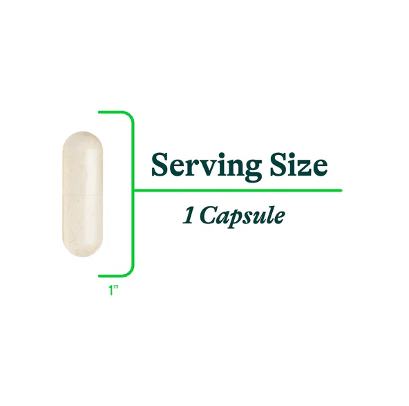 Probiota HistaminX - 60 Veg Caps - Seeking Health - Image 5