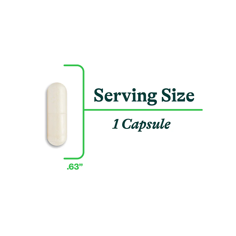Zinc Carnosine | 60 Capsules | Seeking Health - Image 7
